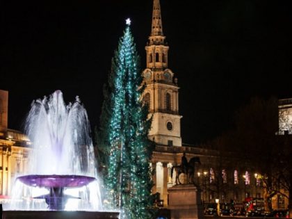 trafalgar square christmas tree