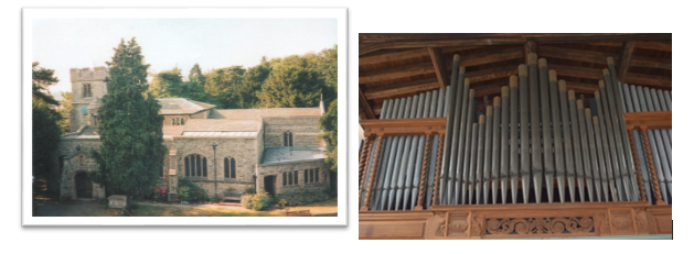 smaf organ
