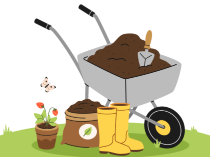 vectorstock 62030486